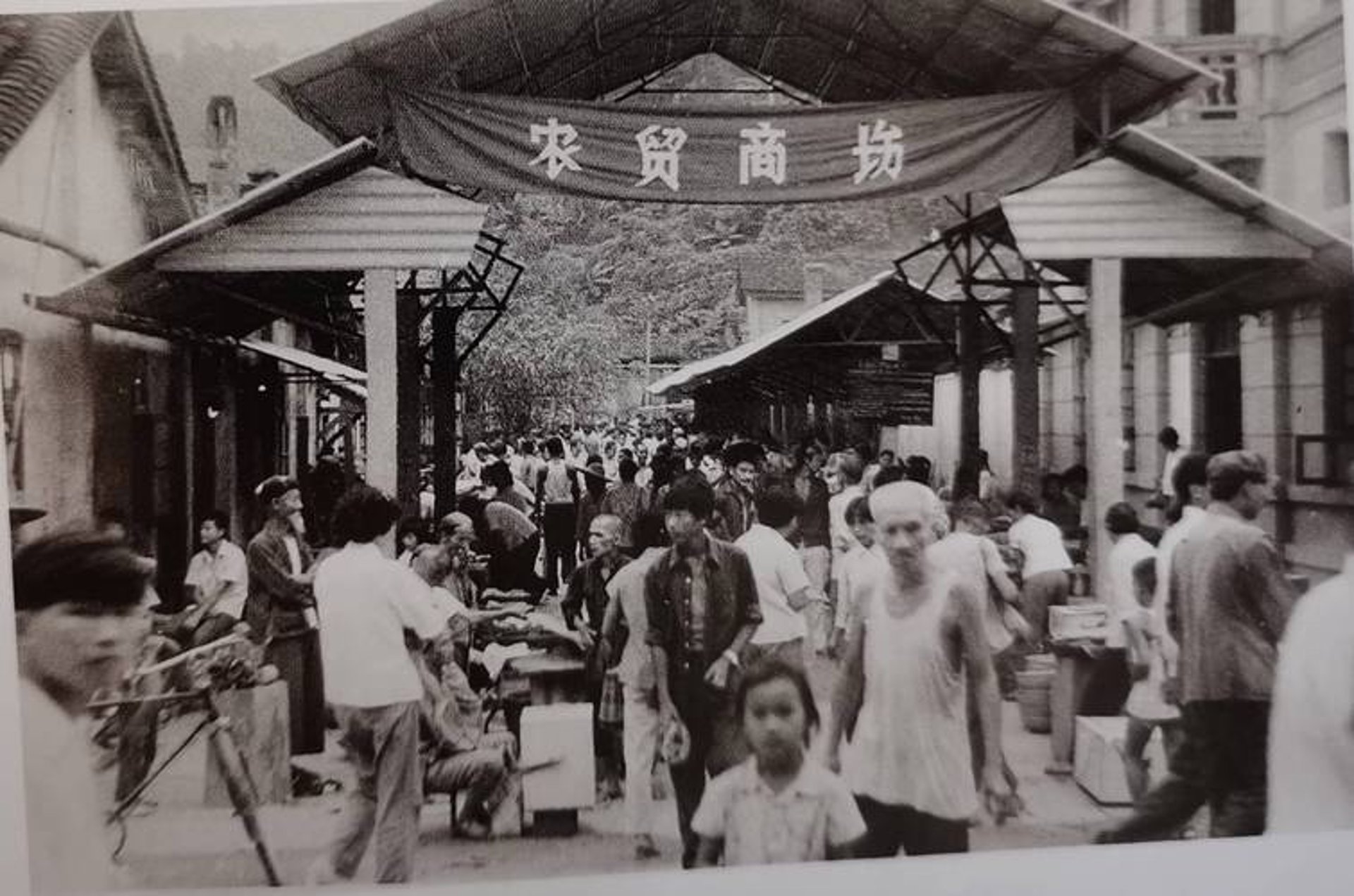 六合敬商贸